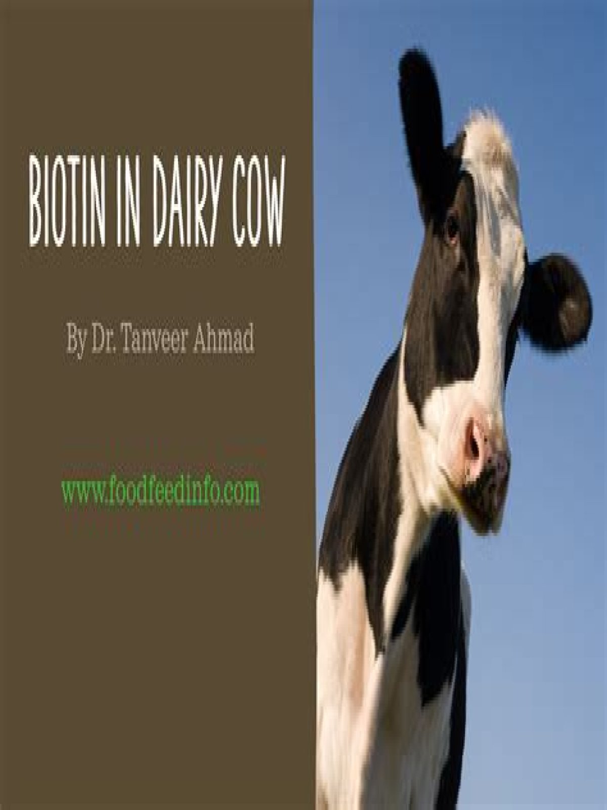 Does cow milk have biotin?