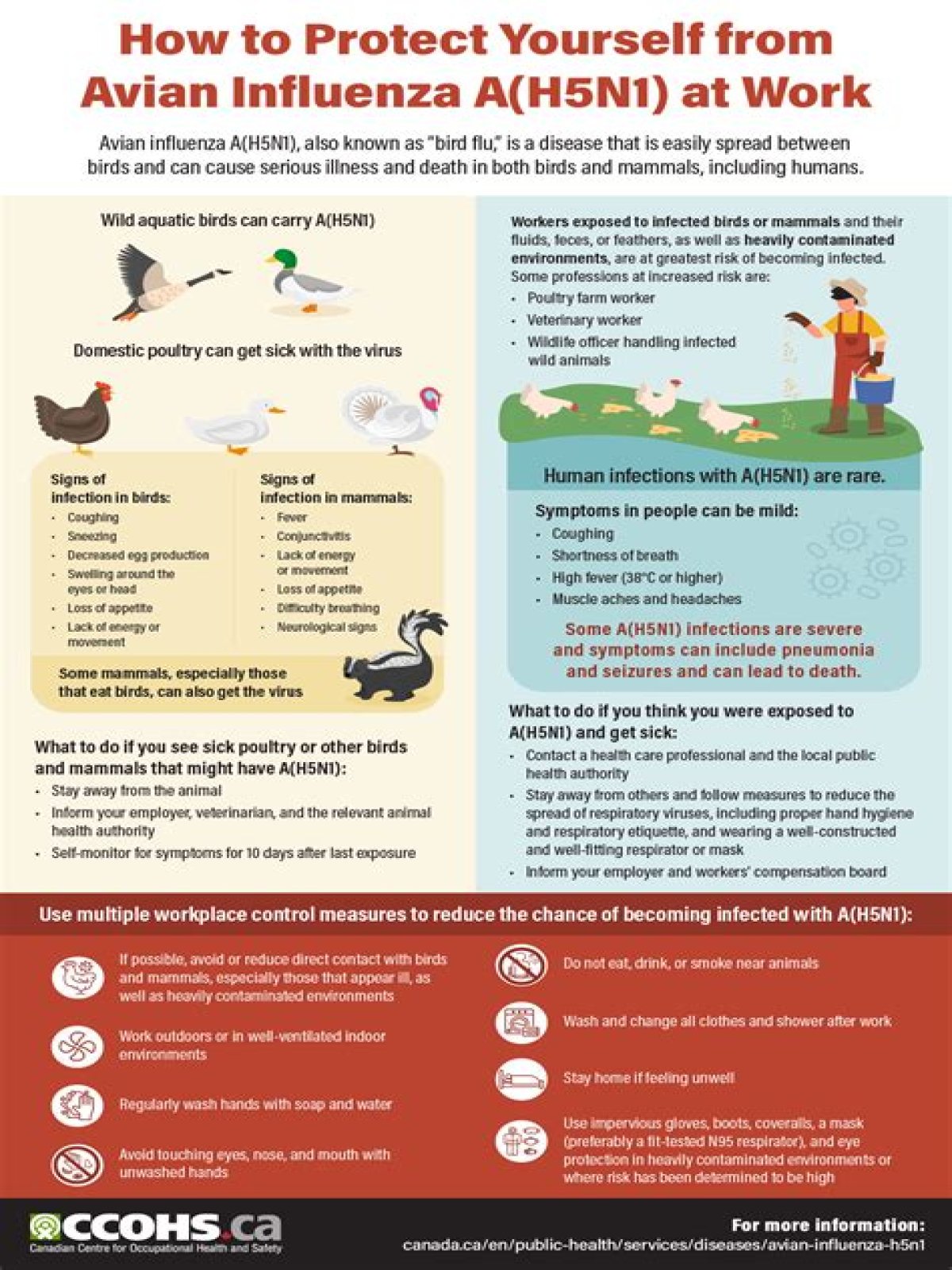 Does flu shot protect against avian flu