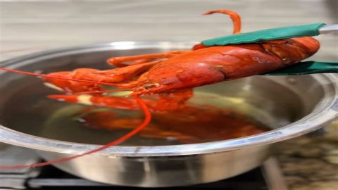 FAQ: How to cook lobster boil?