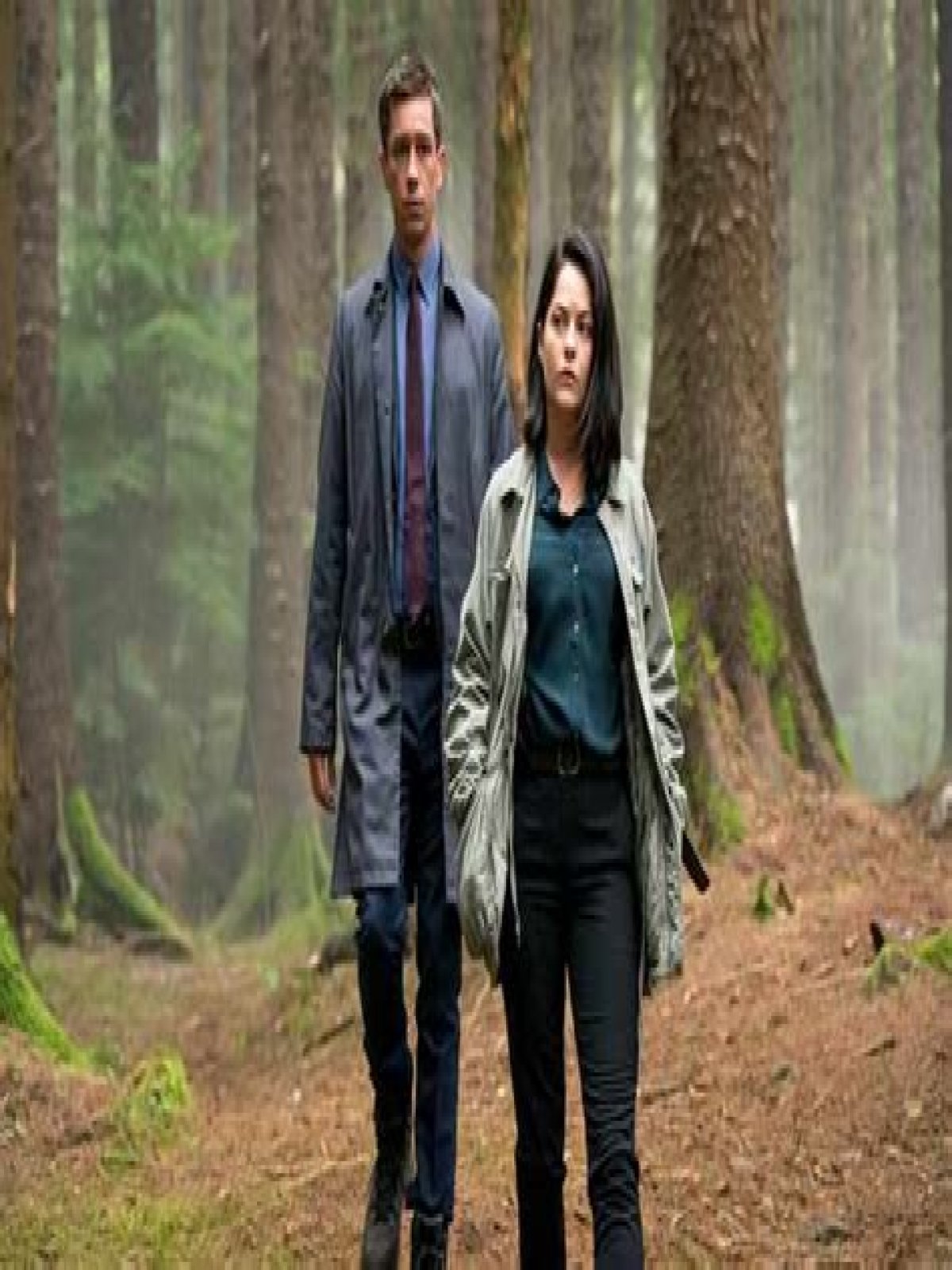 Has dublin murders been cancelled?