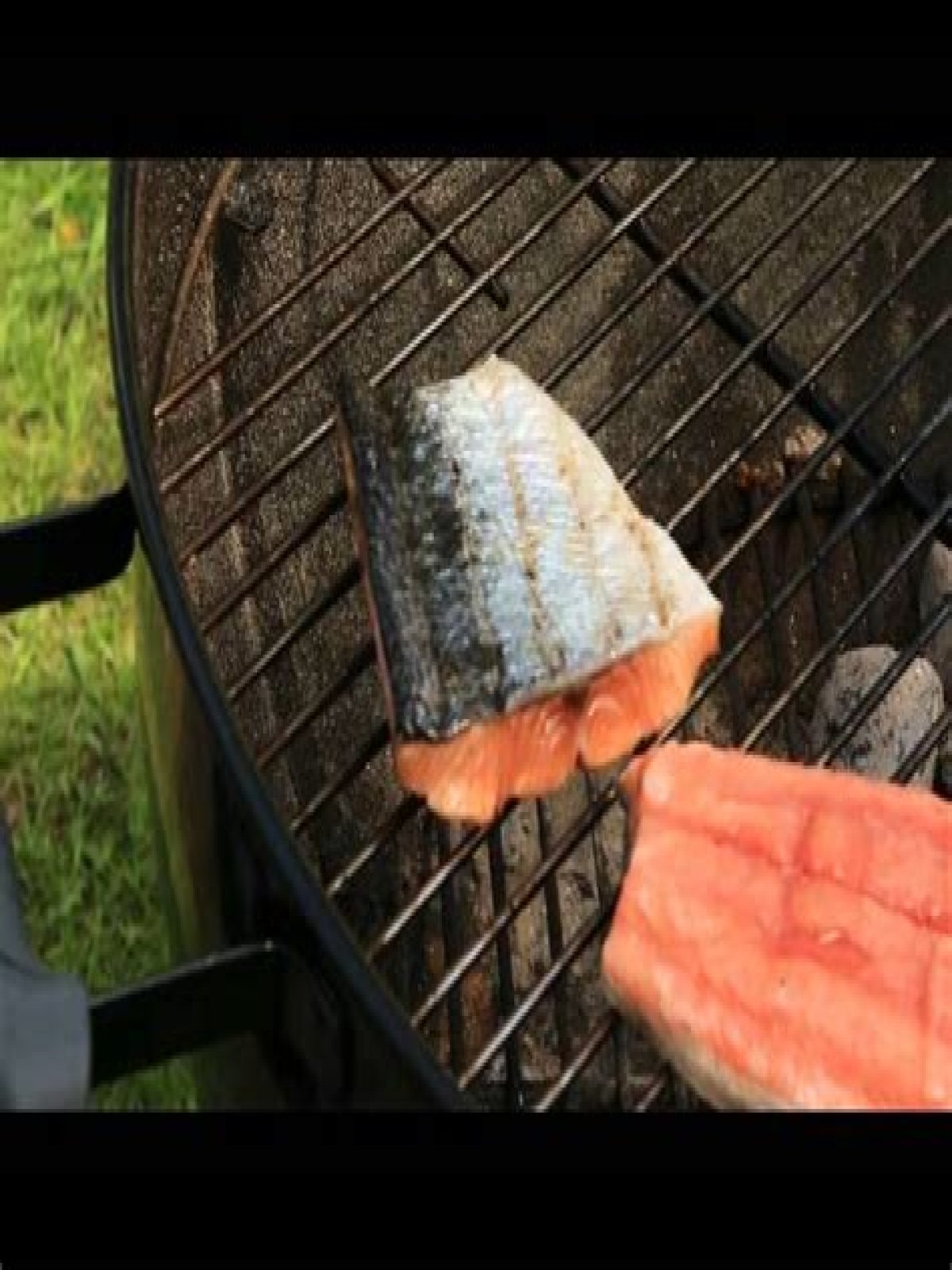 Hoe Lang Zalm Op Bbq? (Perfect answer)