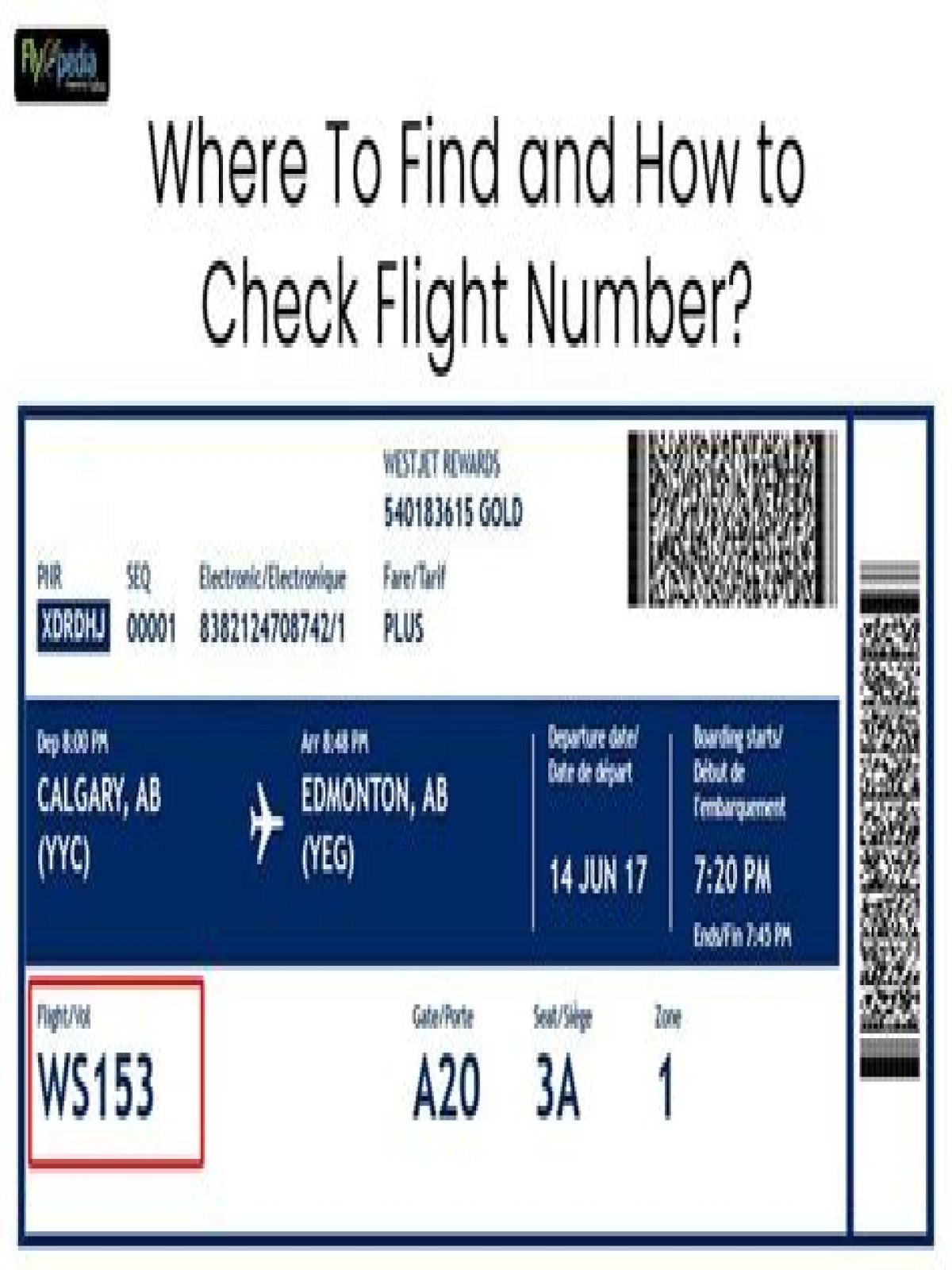 How do I find flight details?
