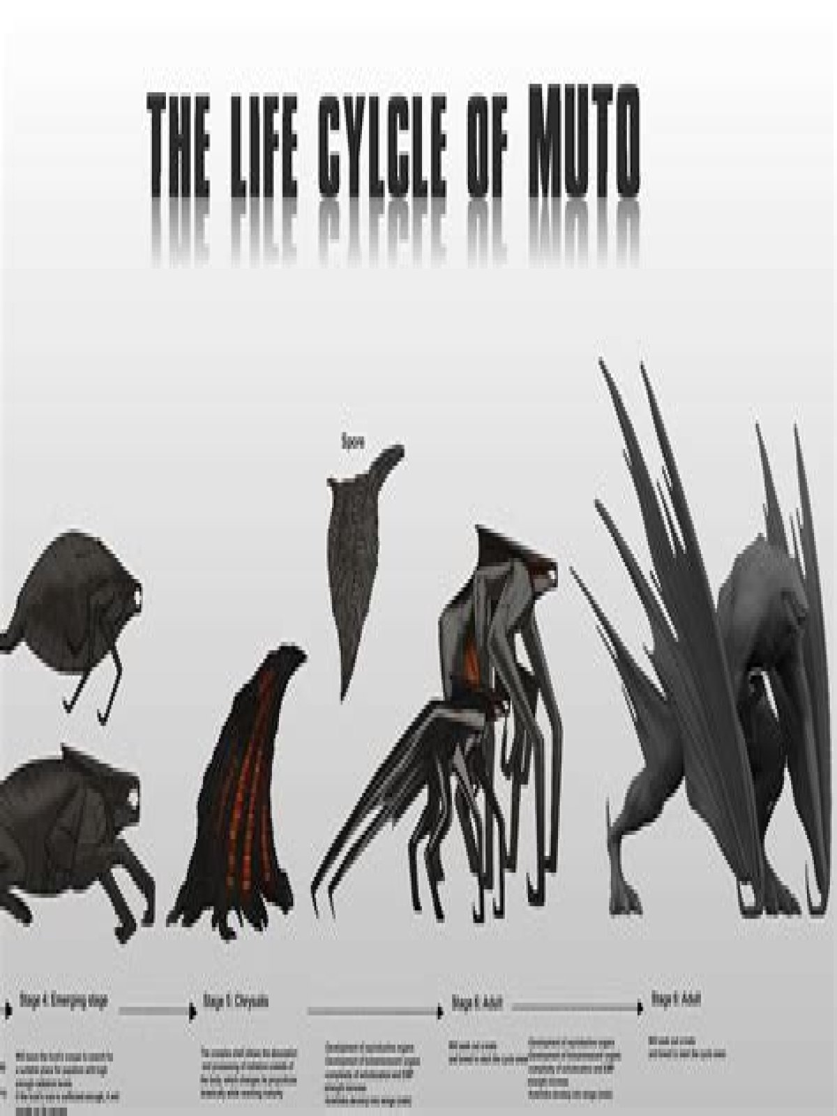 How many legs does a MUTO have?