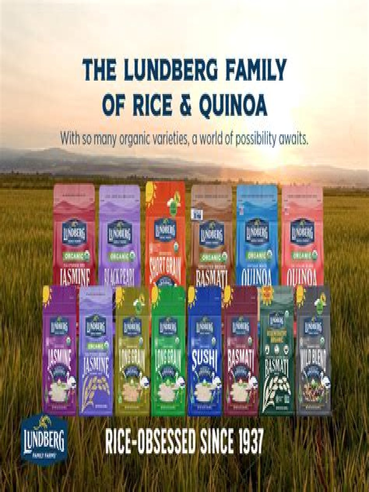Is Lundberg rice grown in USA?