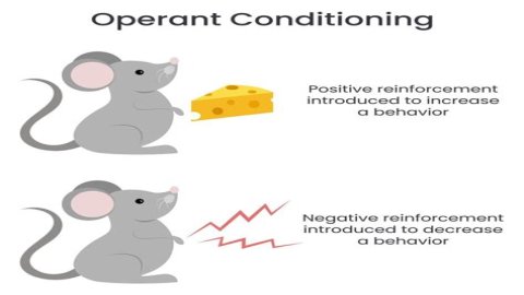 Is operant conditioning a theory?