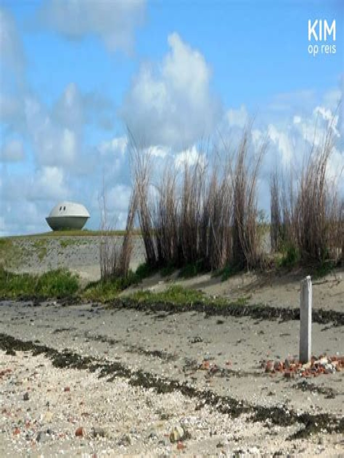 Oesters Plukken Zeeland Wanneer? (Perfect answer)