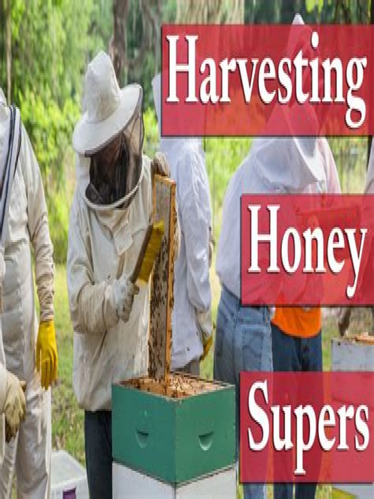 What are supers in beekeeping