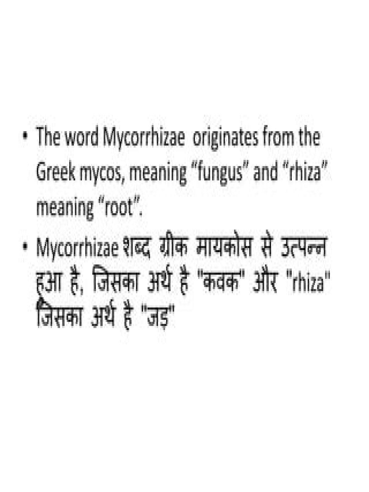 What does rhiza mean in latin?