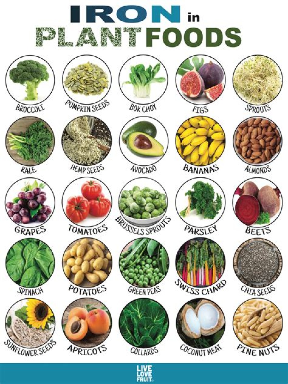 what foods are high in iron