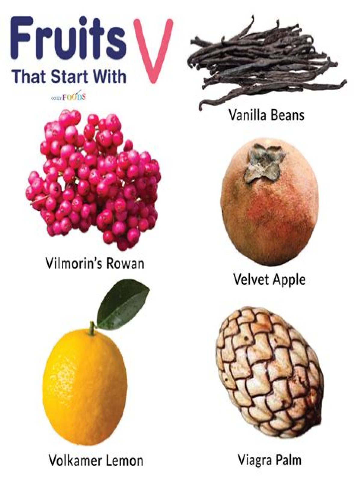 What is a fruit that starts with V?