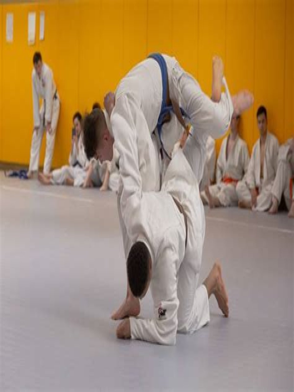 What's better Judo or Jiu Jitsu?