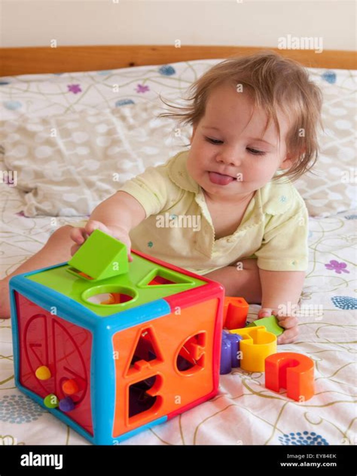 When can babies do shape sorters?