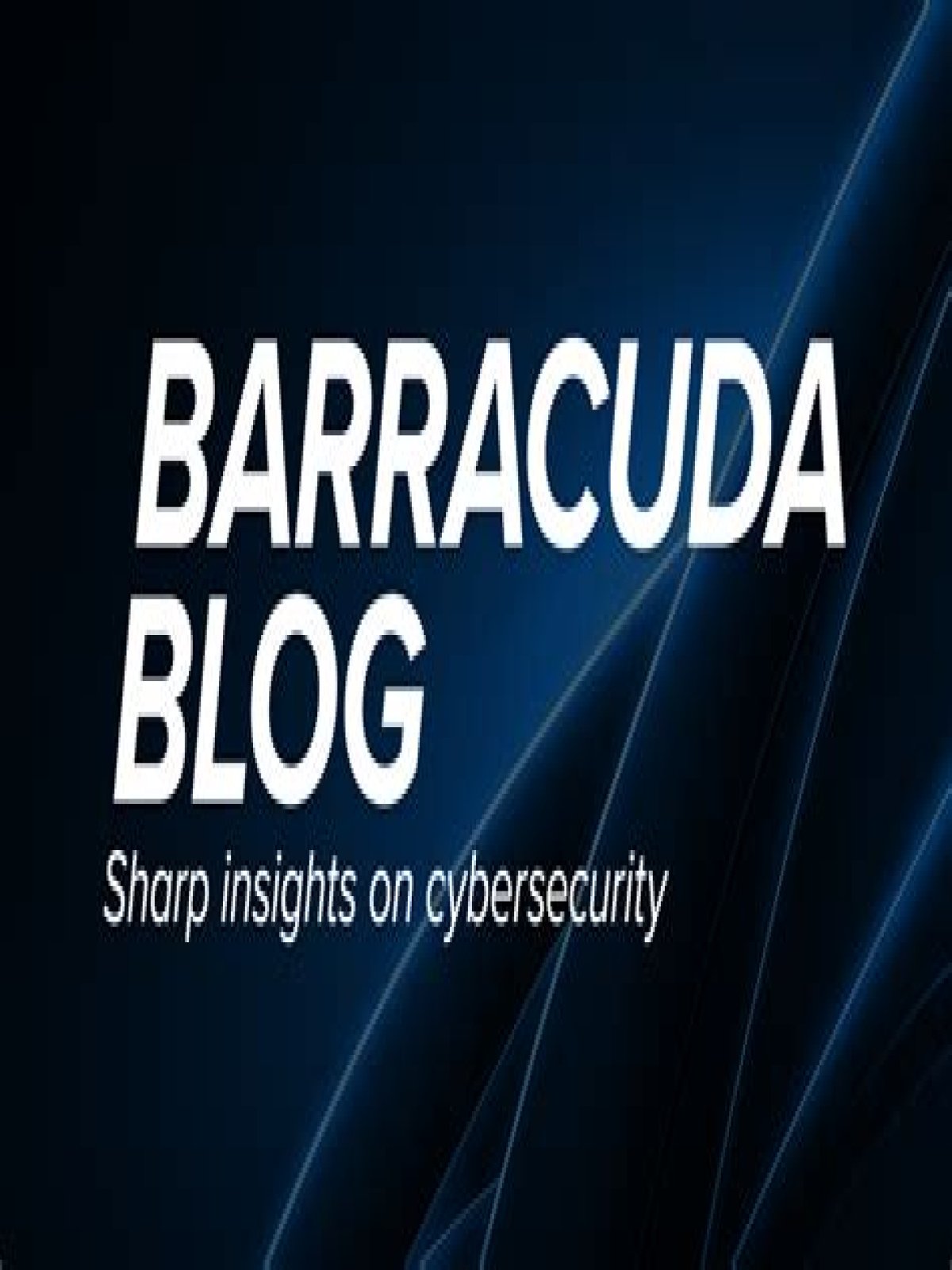 When did Barracuda Networks go public?