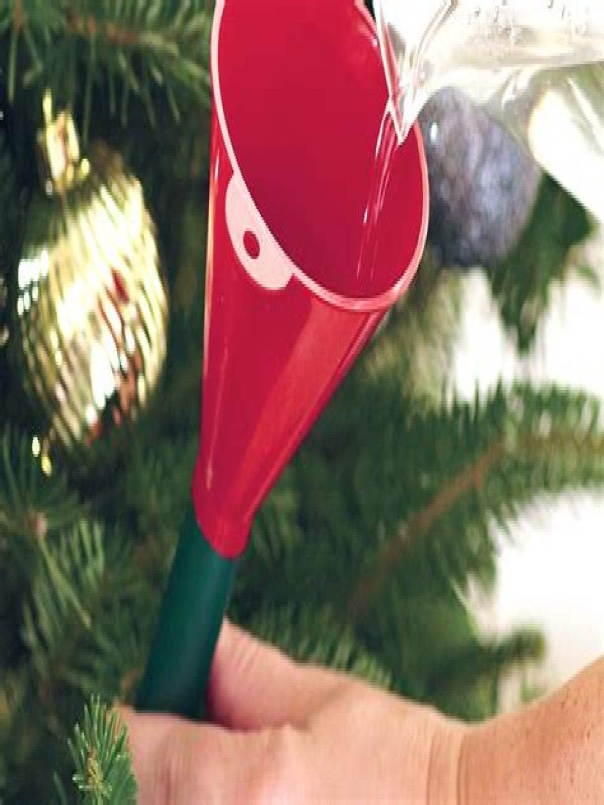 Why do you put aspirin in Christmas tree water?